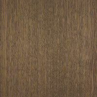 Shell Grey Shell Grey